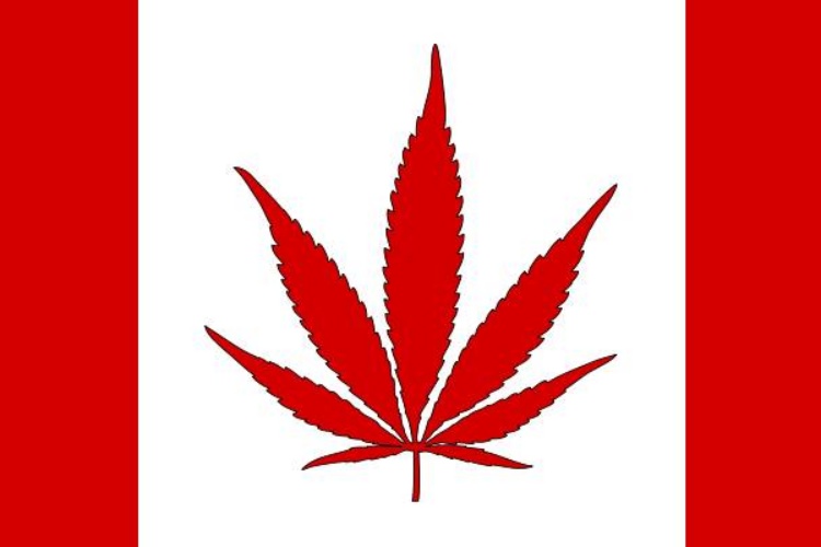 canada-marihuana-bandera